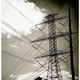 Illustration for article titled Shooting Challenge Silhouettes Gallery 3